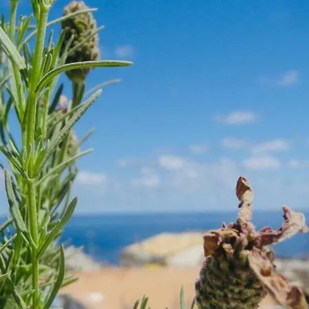 Sicily Holiday home Isola delle Femmine